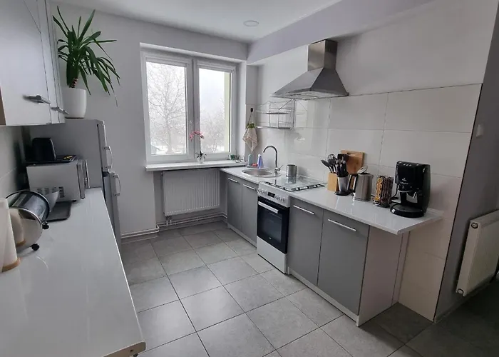 Apartament Walbrzych * 바우브자이치