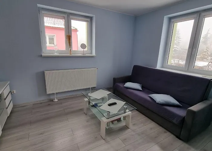 Apartament Walbrzych * 바우브자이치